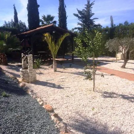 Anna Maria Mercan Koyu